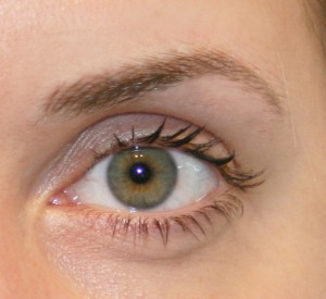 3D Eyebrow 3D Hair Stroke Eyebrow