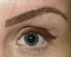 Thick Semi Permanent Brow Thick Semi Permanent Brow